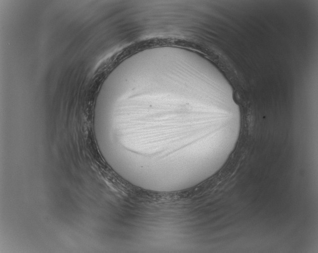 X0000076091064200610202100