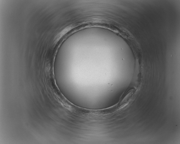 X0000076091065200610202100