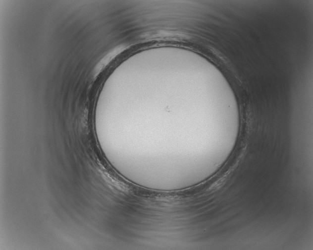 X0000076091066200610202100