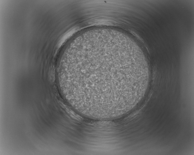 X0000076091067200610202100