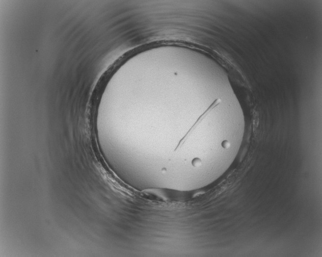 X0000076091068200610202100