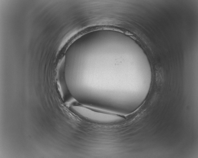 X0000076091069200610202100