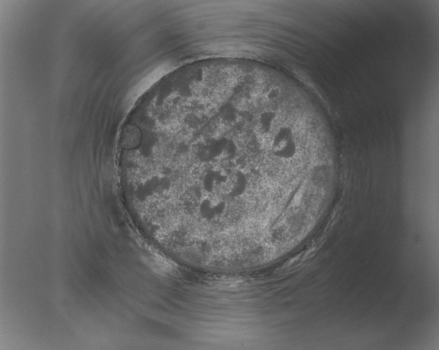 X0000076091071200610202100