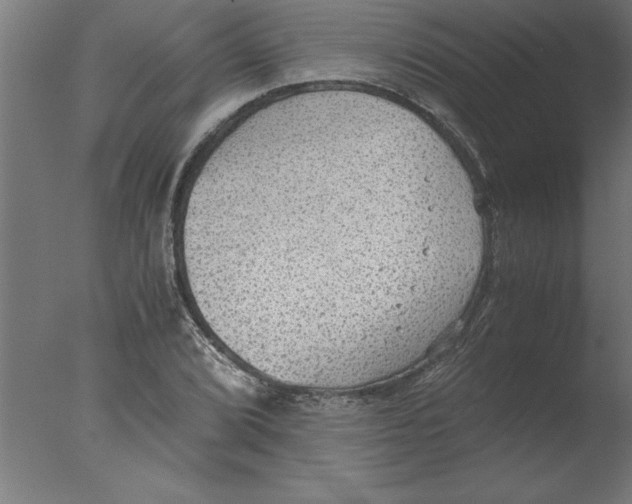 X0000076091072200610202100