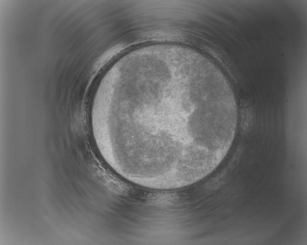 X0000076091074200610202100