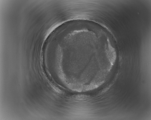 X0000076091077200610202100