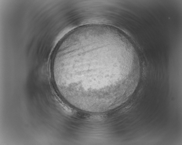 X0000076091078200610202100