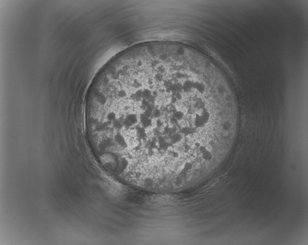 X0000076091079200610202100