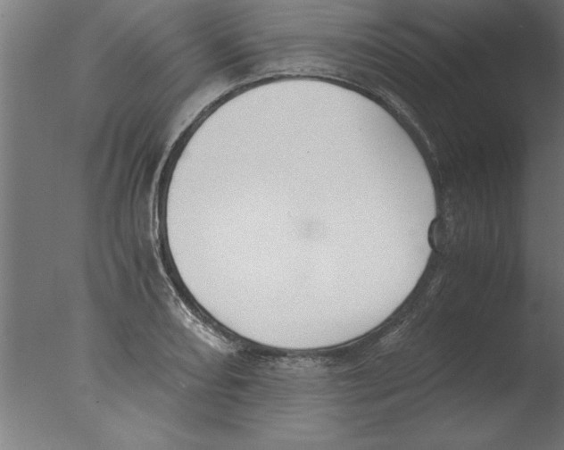 X0000076091082200610202100