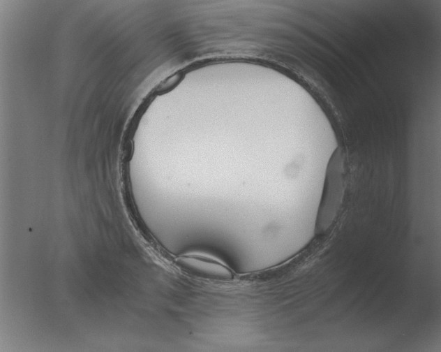 X0000076091085200610202100