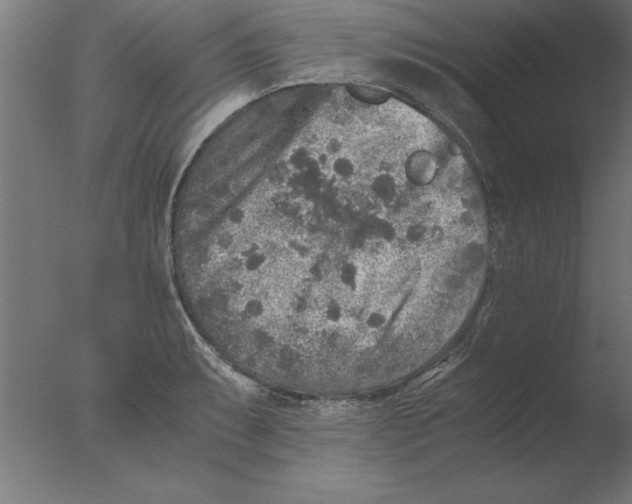 X0000076091087200610202100