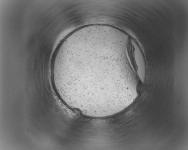 X0000076091088200610202100