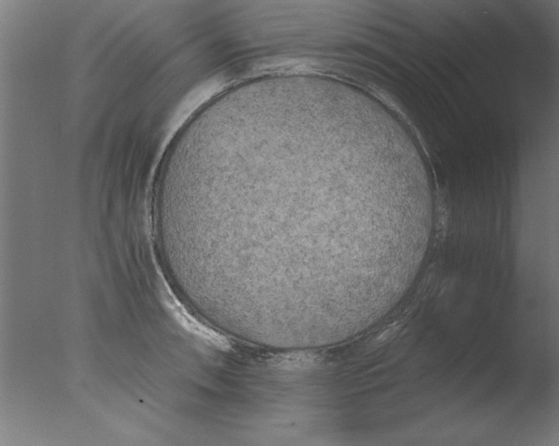 X0000076091090200610202100