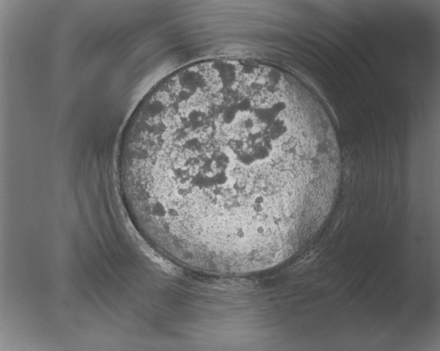 X0000076091091200610202100