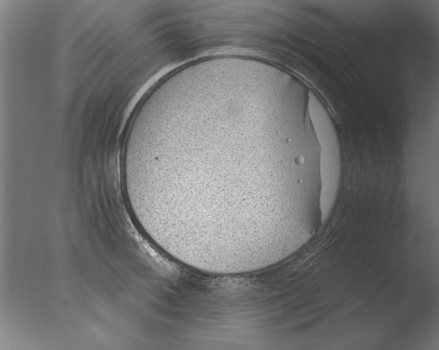 X0000076091092200610202100