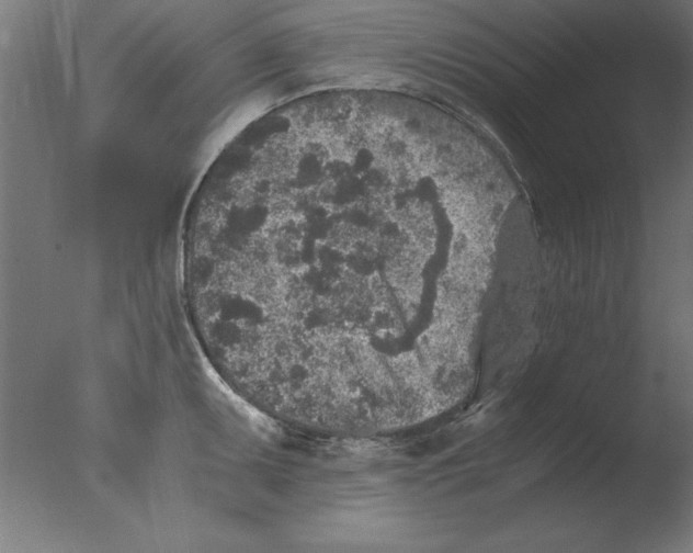 X0000076091095200610202100