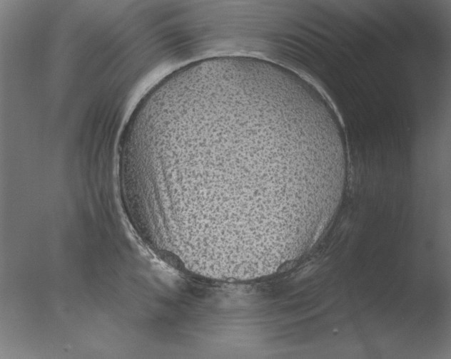 X0000076091096200610202100