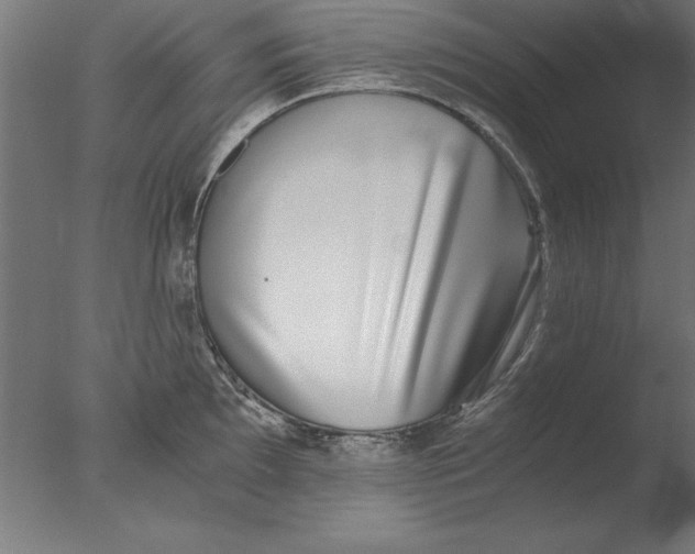 X0000076091097200610202100