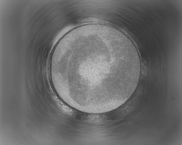 X0000076091098200610202100