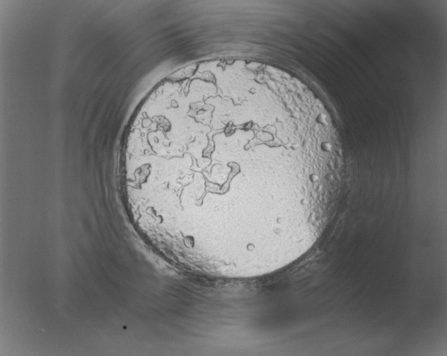 X0000076091099200610202100