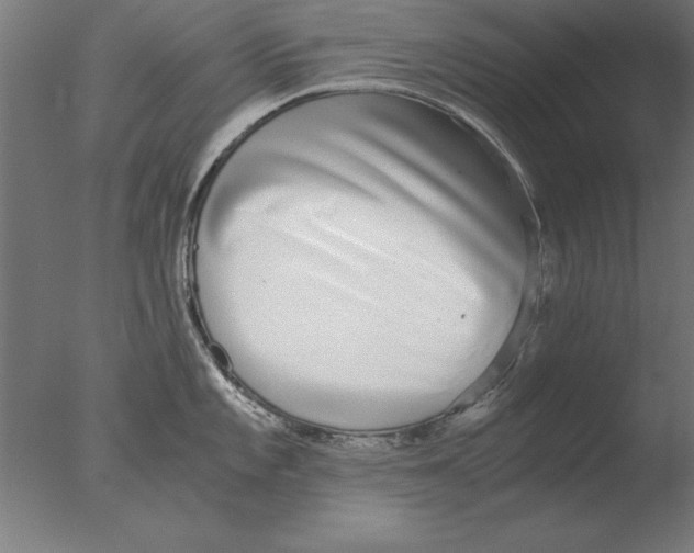 X0000076091101200610202100