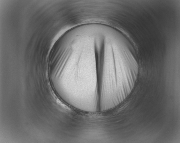 X0000076091102200610202100