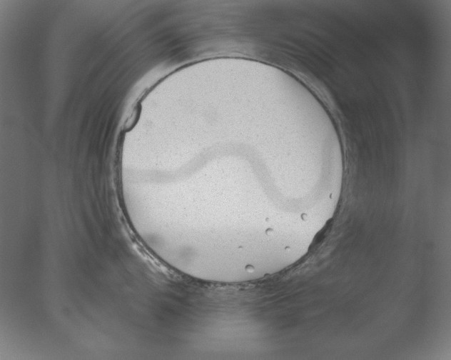 X0000076091104200610202059