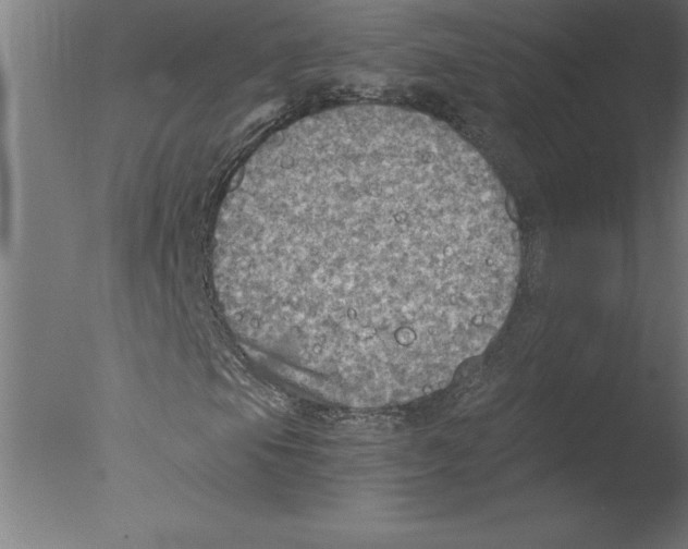 X0000076091105200610202059