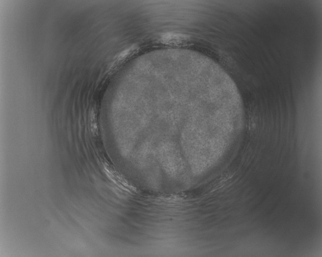 X0000076091106200610202059