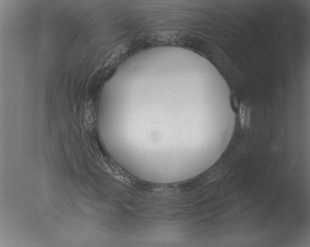 X0000076091107200610202059