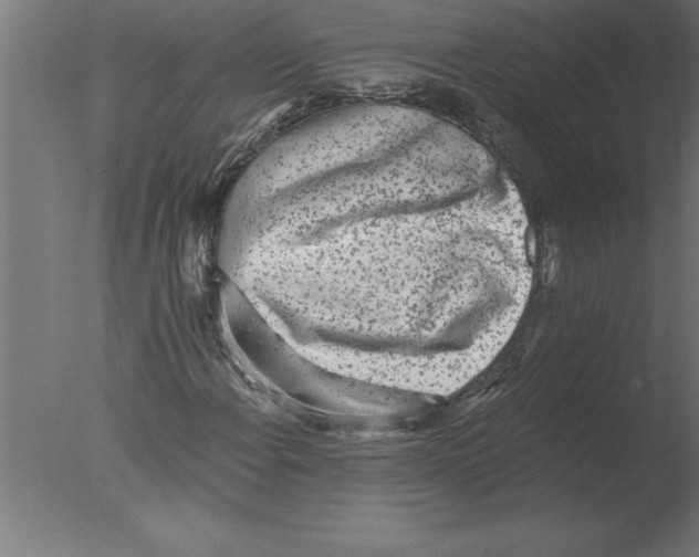 X0000076091108200610202059