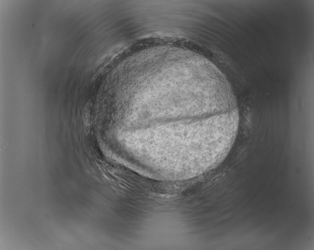 X0000076091110200610202059