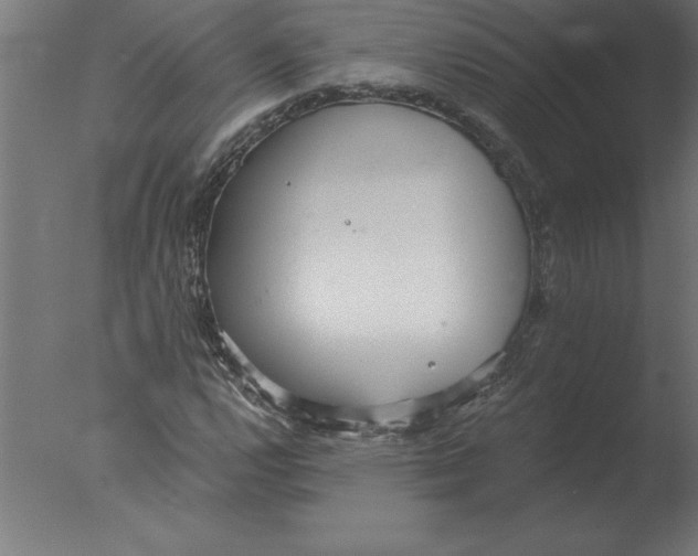 X0000076091112200610202059