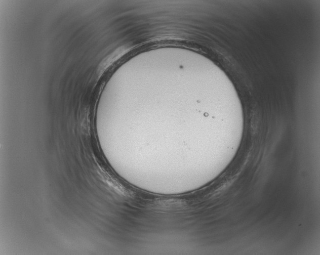 X0000076091113200610202059