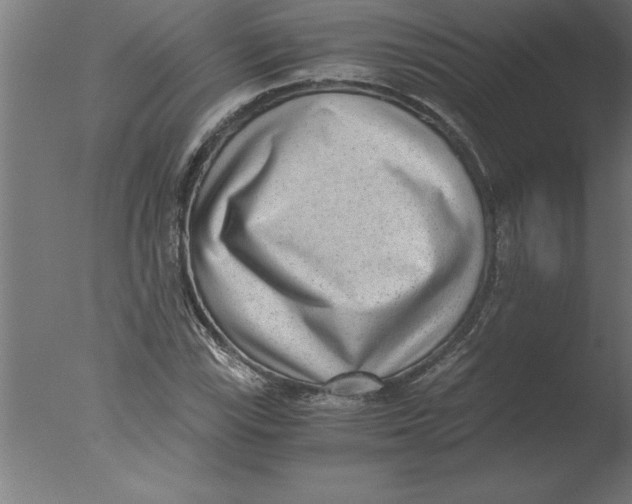 X0000076091115200610202059