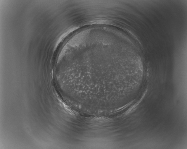 X0000076091117200610202059