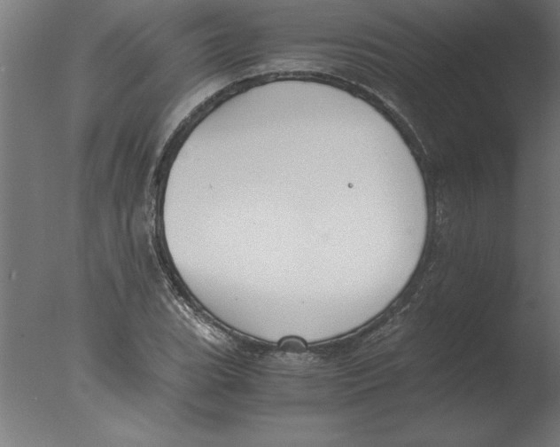 X0000076091119200610202059