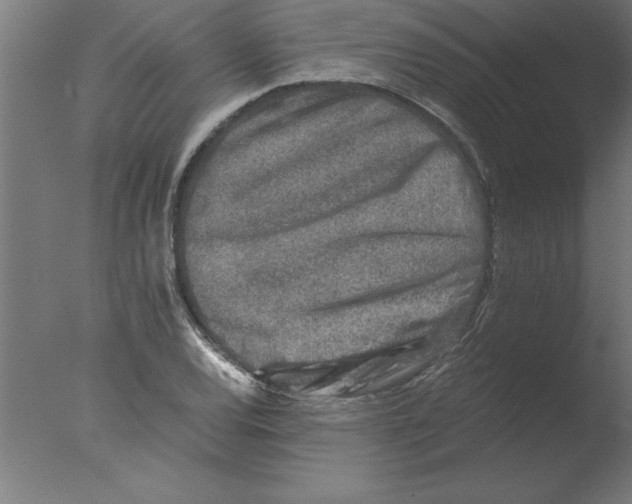 X0000076091120200610202059