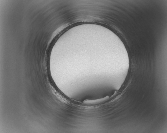 X0000076091122200610202059