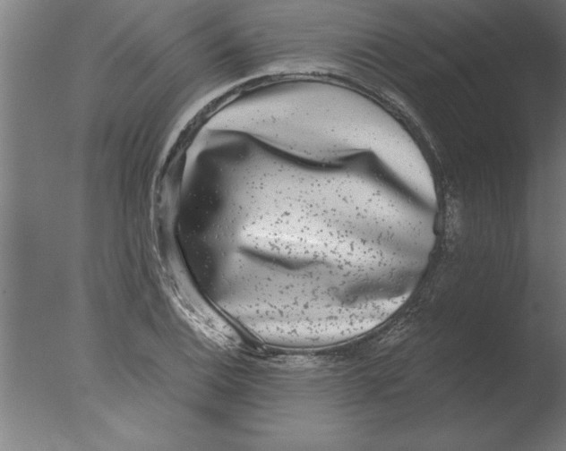 X0000076091124200610202059