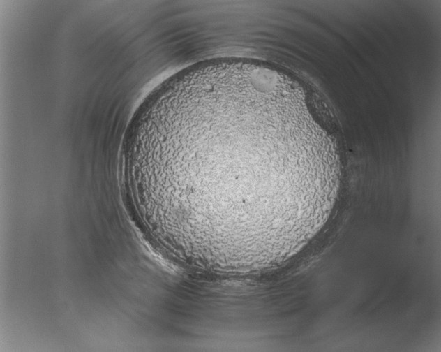 X0000076091125200610202059