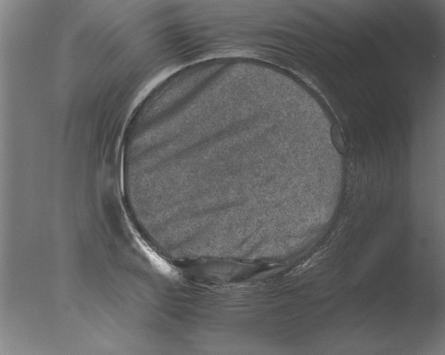 X0000076091127200610202059