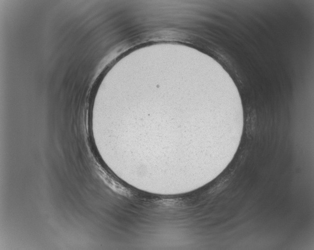 X0000076091130200610202059