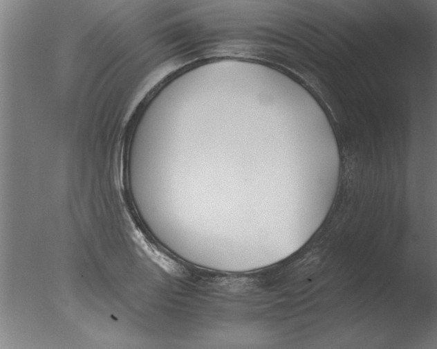 X0000076091131200610202059