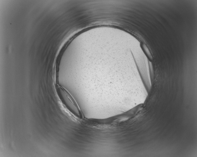 X0000076091132200610202059