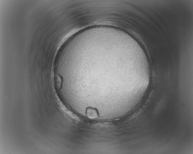 X0000076091133200610202059