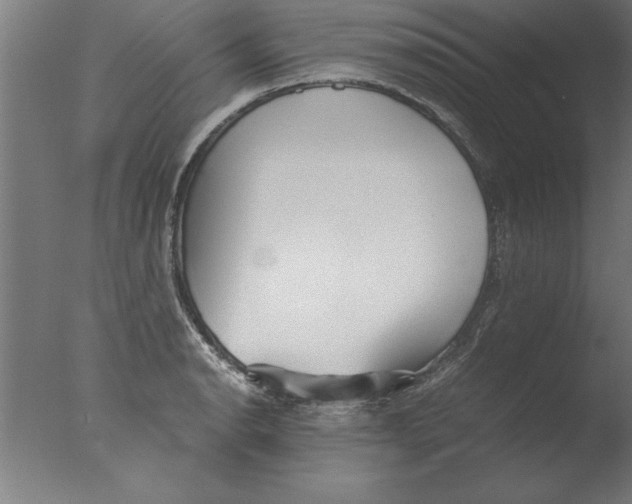 X0000076091134200610202059