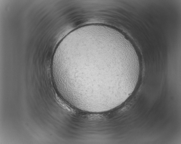 X0000076091137200610202059