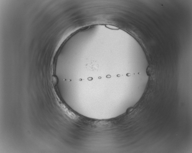 X0000076091140200610202059