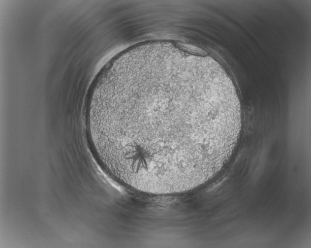 X0000076091141200610202059